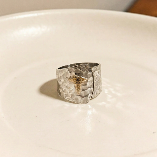 Anillos Profesiones con aplique en Oro 10k