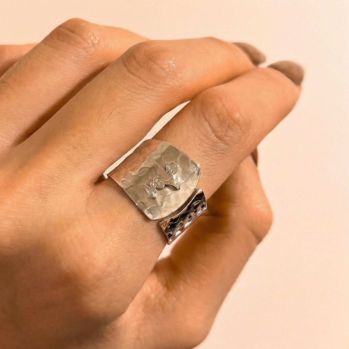 Anillos Profesiones con aplique en Plata